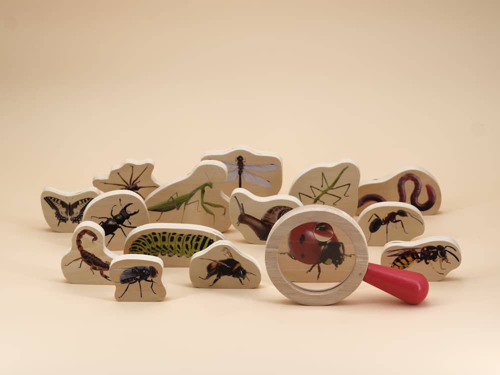 Kit d'observation des insectes