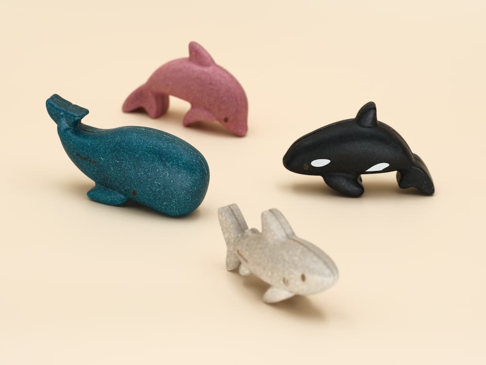 Les cétacés et le requin