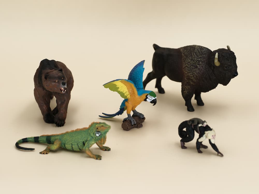 kit animaux équateur